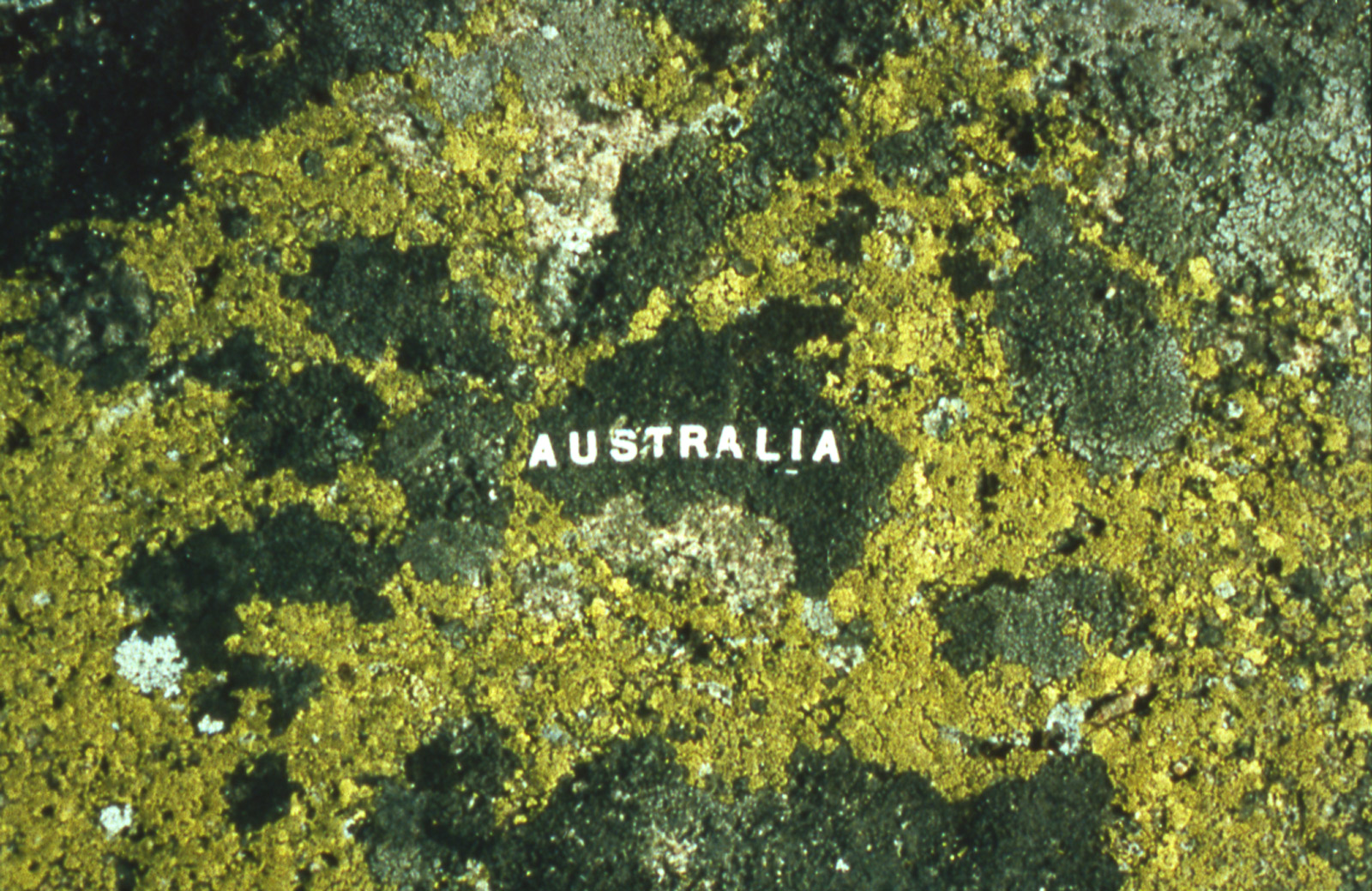 moss map of Australia