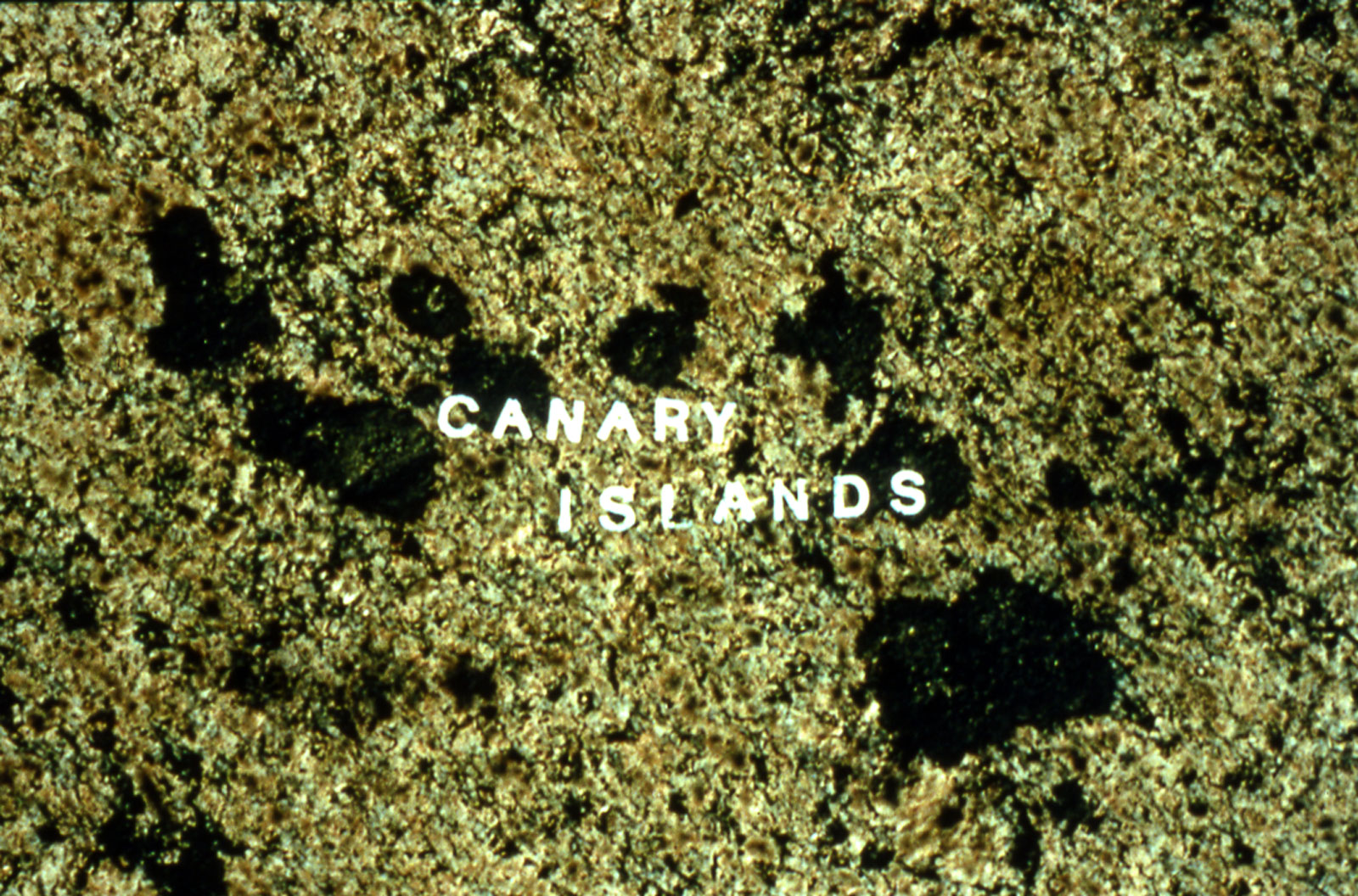 moss maps of canary islands