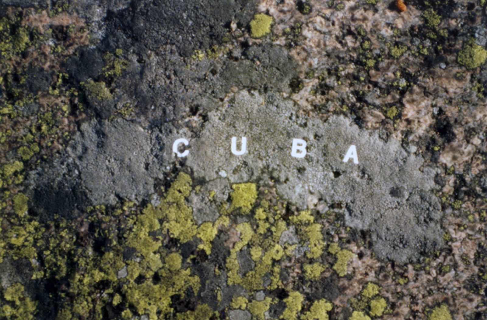 moss map of Cuba