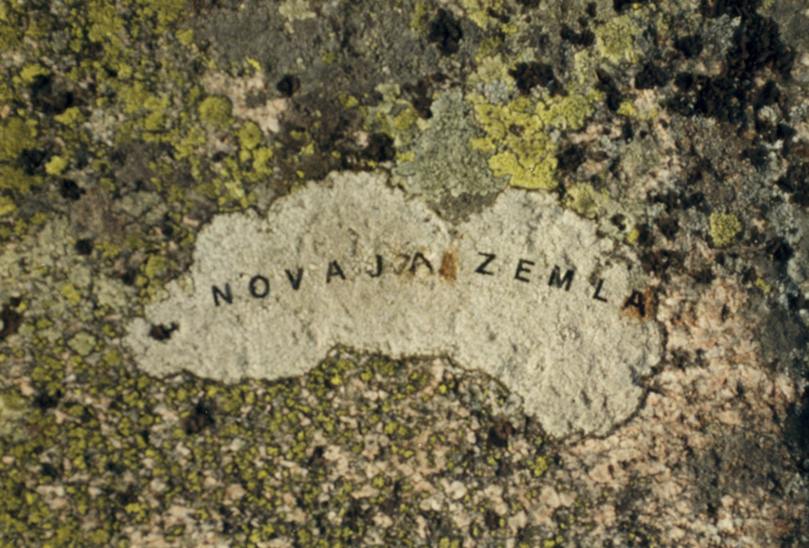moss maps of novaja zemla