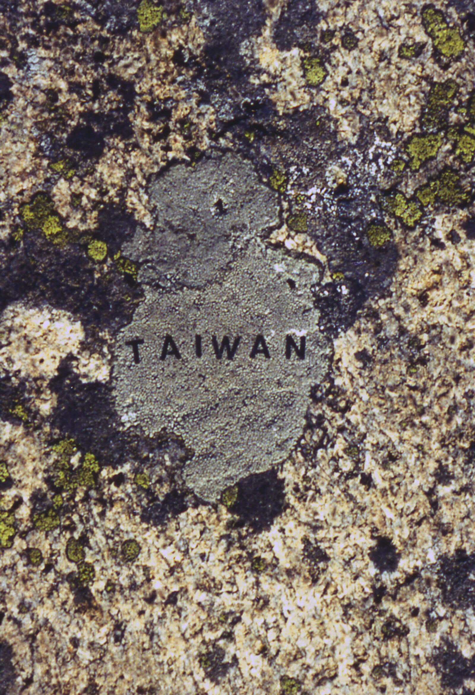 moss map of Taiwan